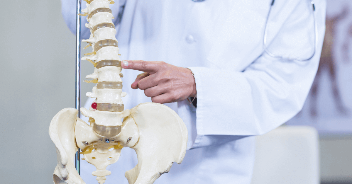 Physiotherapist pointing to a model of a spine